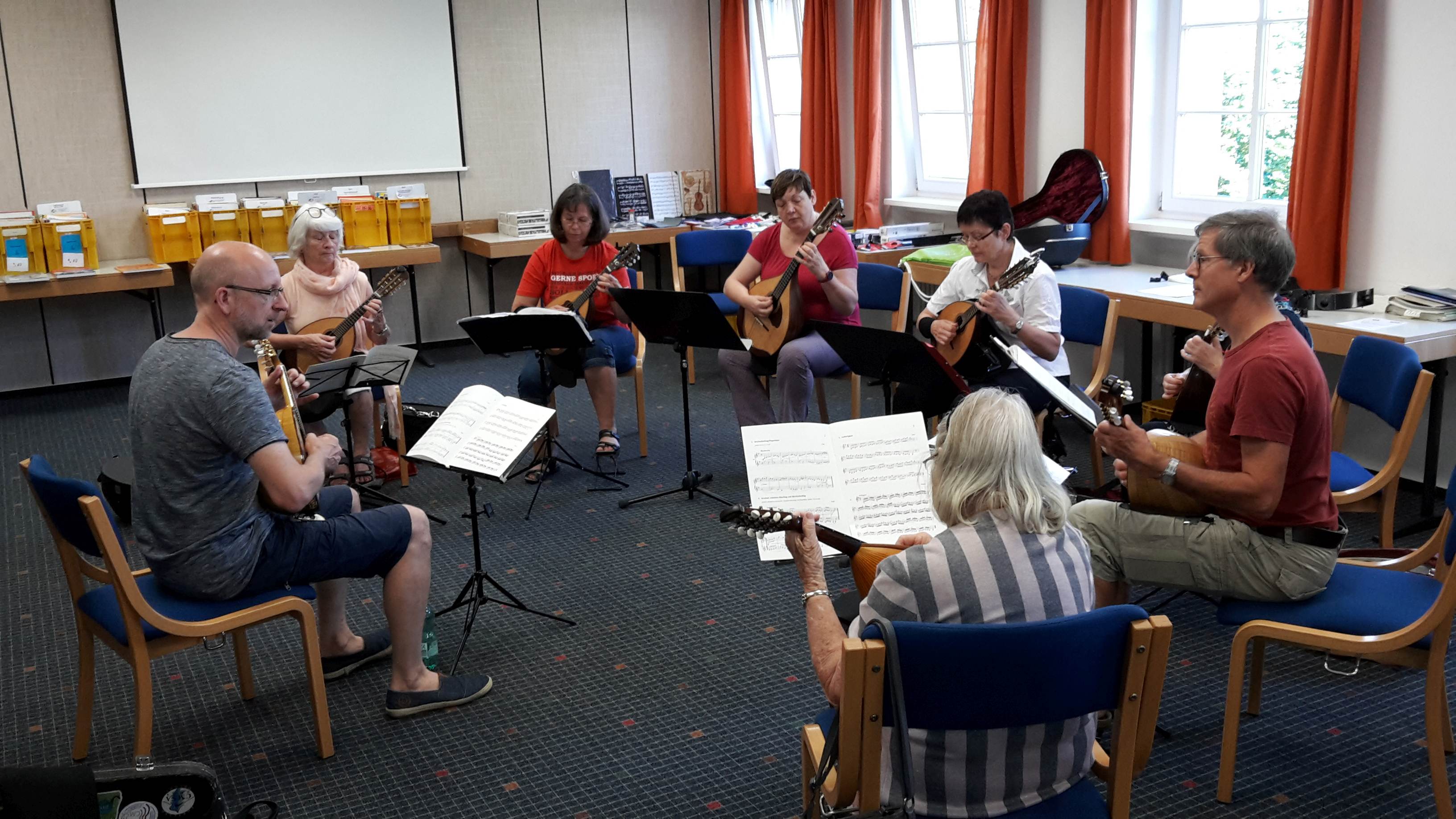 Technikunterricht Mandoline und Mandola